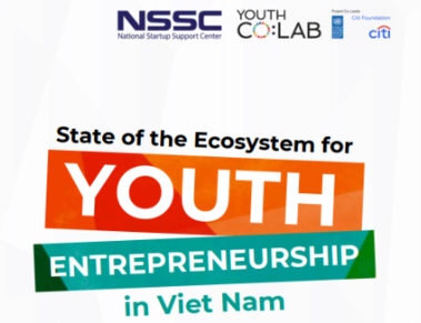 EXPLORING VIETNAM’S YOUTH ENTREPRENEURSHIP ECOSYSTEM